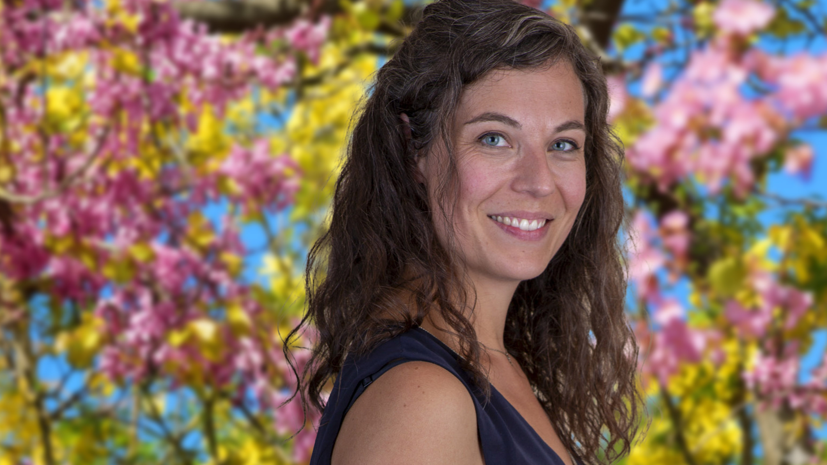 Formations Claire Devilliers